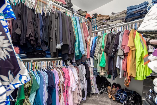 spacious closet with carpet