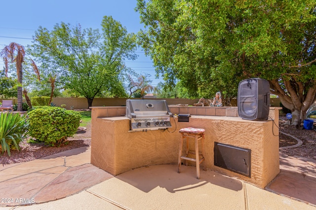 view of patio / terrace with grilling area and area for grilling