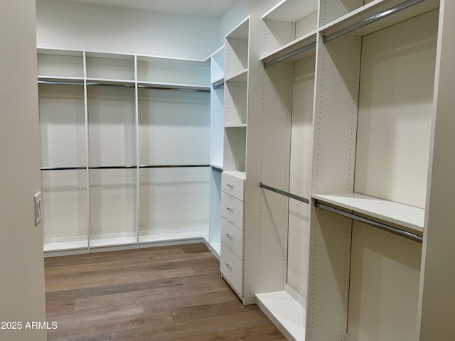 3021 N 47th St, Phoenix, AZ 85018 - walk in closet with light wood finished floors