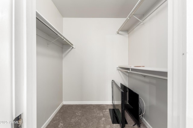 walk in closet with dark colored carpet