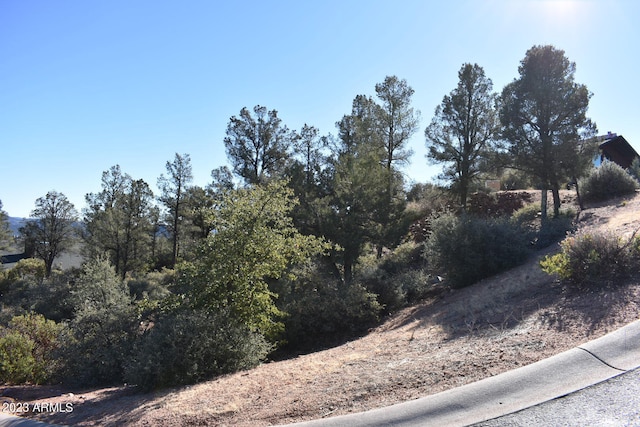 1905 E Starlight Pass Unit 108, Payson AZ, 85541 land for sale