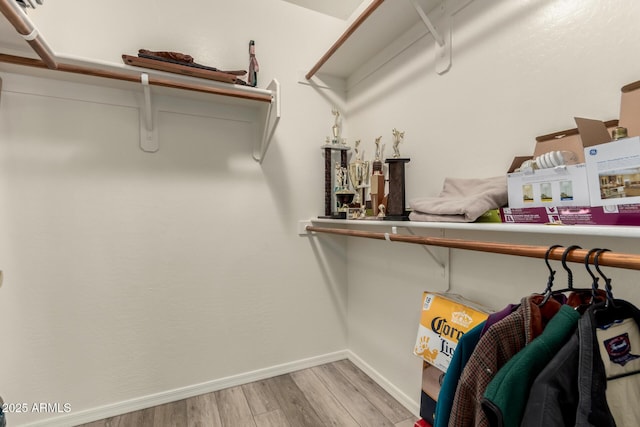 spacious closet featuring light hardwood / wood-style flooring