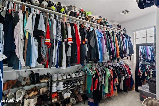 spacious closet with carpet