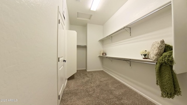 walk in closet with light colored carpet