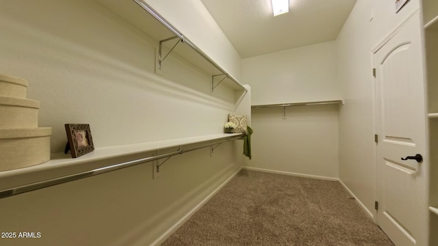 walk in closet featuring carpet flooring