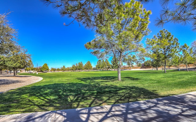 view of community with a lawn