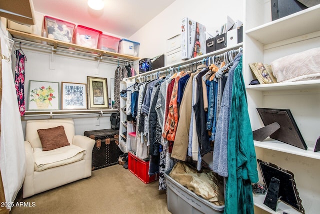 spacious closet with carpet