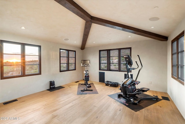 workout room featuring light hardwood / wood-style flooring