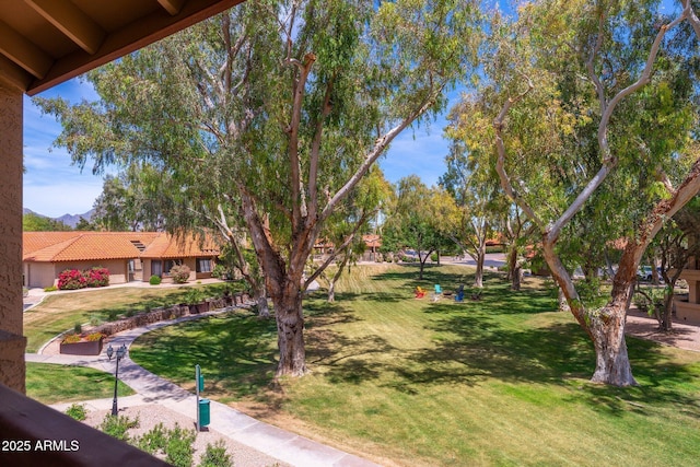 surrounding community with a yard