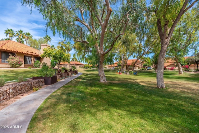 view of property's community with a yard