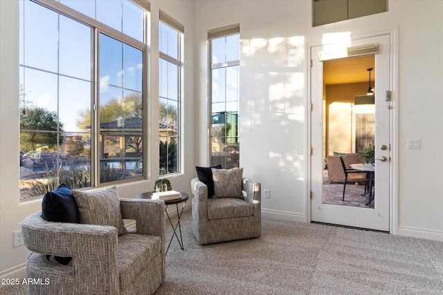 sitting room featuring carpet floors