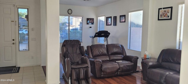 living room with light hardwood / wood-style flooring