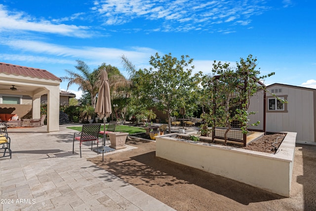 view of patio / terrace featuring a shed