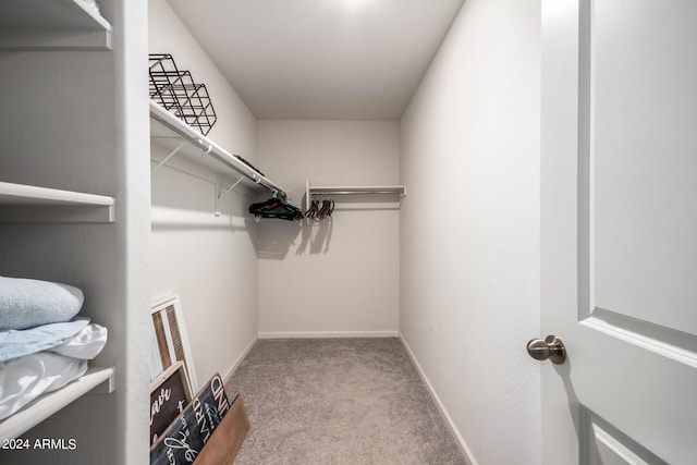 spacious closet with carpet flooring