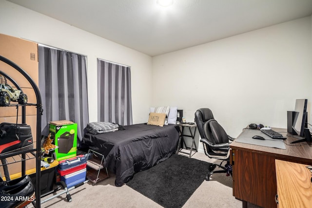 bedroom with carpet floors