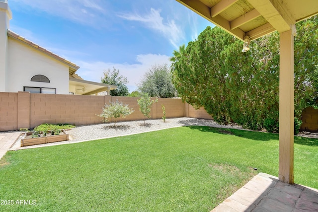 3921 W Jasper Dr, Chandler, AZ 85226 - view of yard featuring a garden