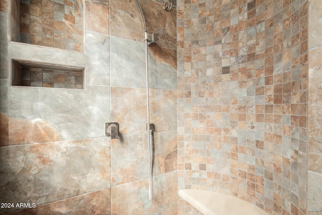 interior details with tiled shower