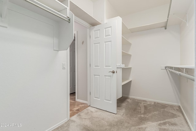 spacious closet featuring carpet floors