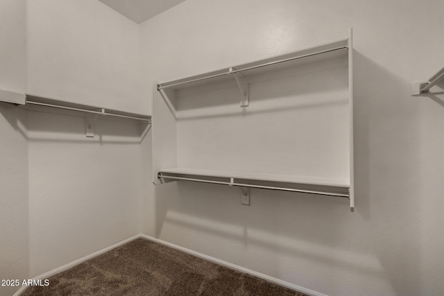16846 N 49th Way, Scottsdale, AZ 85254 - spacious closet featuring carpet flooring
