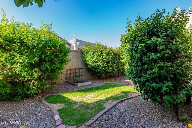 16846 N 49th Way, Scottsdale, AZ 85254 - view of yard with a vegetable garden