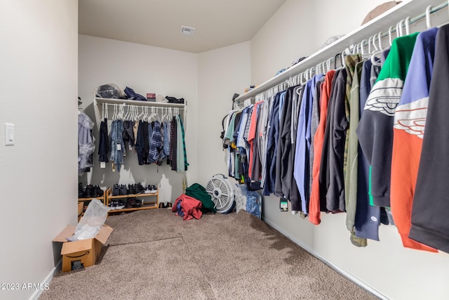 spacious closet with carpet