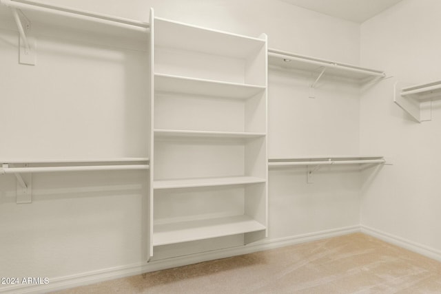 walk in closet with carpet flooring