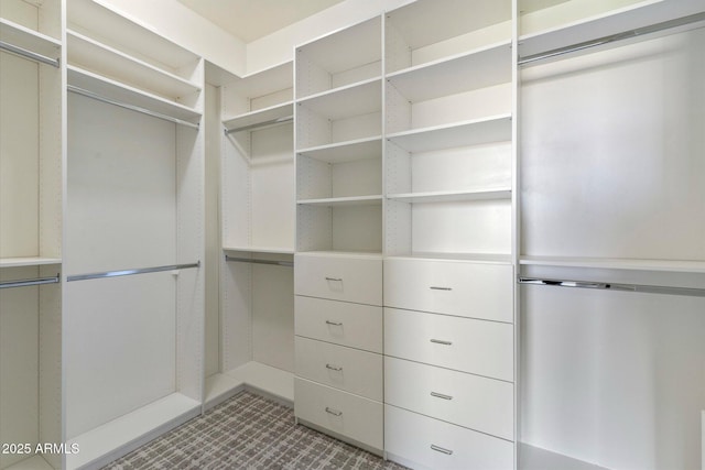 view of spacious closet