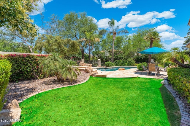 7734 E Monica Dr, Scottsdale, AZ 85255 - view of green lawn featuring a patio and an outdoor pool