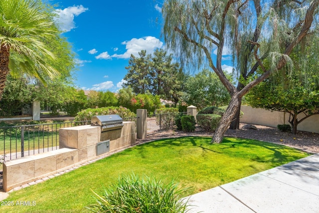 7734 E Monica Dr, Scottsdale, AZ 85255 - view of yard with exterior kitchen