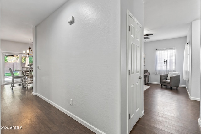 corridor featuring dark hardwood / wood-style floors and an inviting chandelier