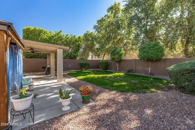 view of yard with a patio area and ceiling fan