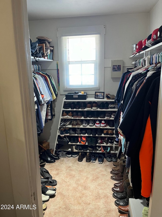 spacious closet with carpet flooring