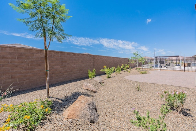 view of yard with a patio area