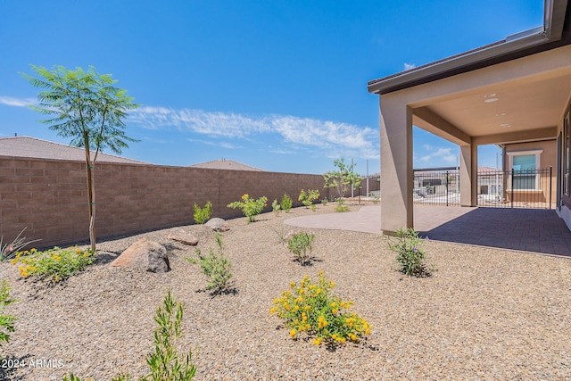 view of yard featuring a patio area