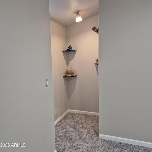 2946 N 14th St N Unit 14, Phoenix, AZ 85014 - walk in closet featuring carpet flooring