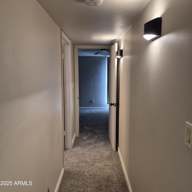 2946 N 14th St N Unit 14, Phoenix, AZ 85014 - hallway with carpet and baseboards