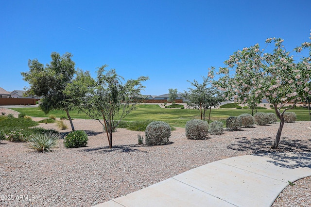 39985 W Sparks Ln, Maricopa, AZ 85138 - view of green lawn