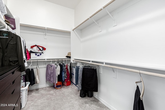 walk in closet with carpet flooring