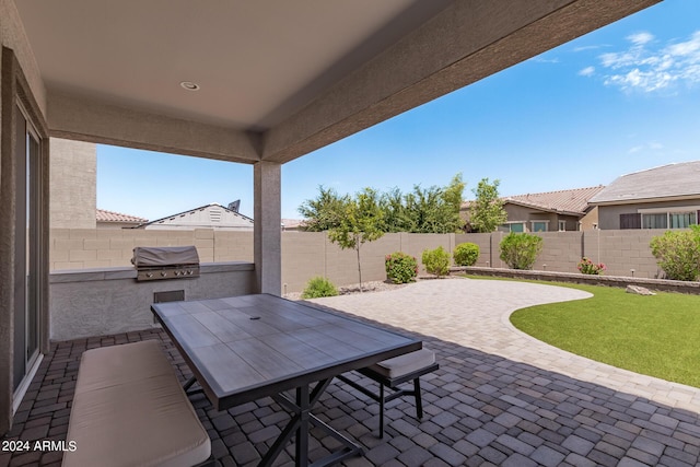 view of patio / terrace with grilling area, outdoor dining area, an outdoor kitchen, and a fenced backyard