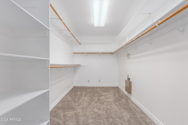 spacious closet with carpet floors