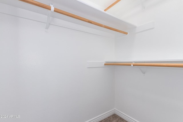 spacious closet with carpet flooring