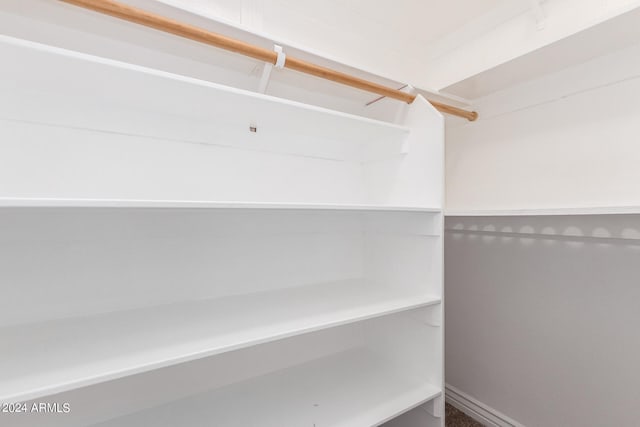 view of spacious closet