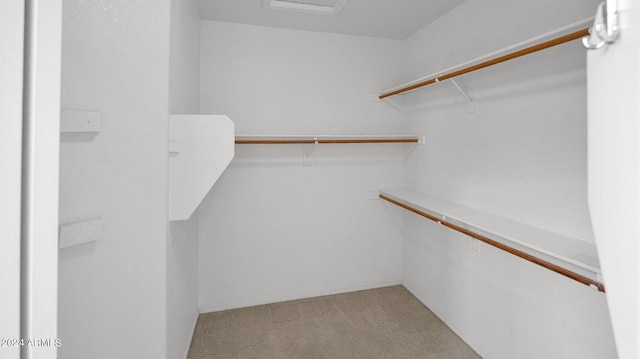 walk in closet with light carpet