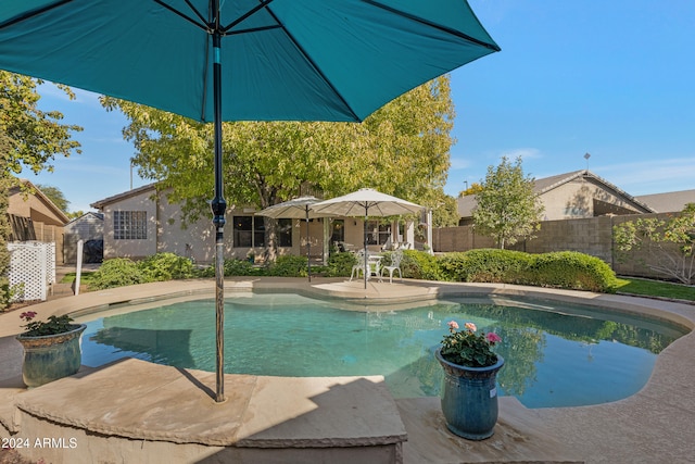 view of pool featuring a patio area