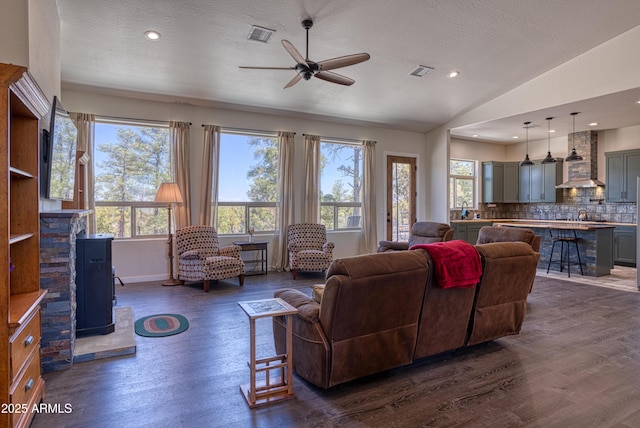 1014 Etta Ln, Show Low, AZ 85901 - living area featuring dark wood-type flooring, healthy amount of natural light, a ceiling fan, a textured ceiling, and lofted ceiling