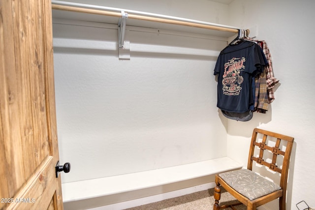 1014 Etta Ln, Show Low, AZ 85901 - walk in closet with carpet flooring
