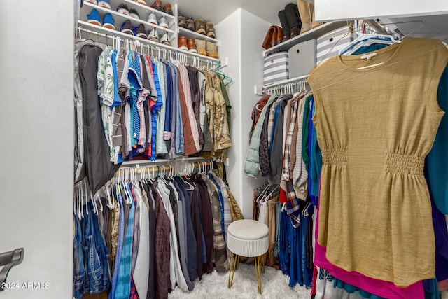 spacious closet featuring carpet