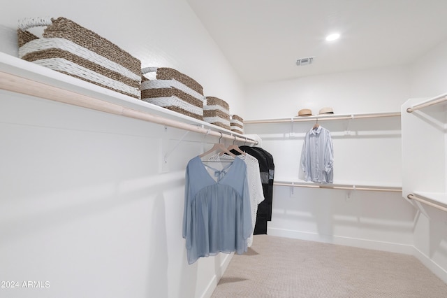 walk in closet with light colored carpet