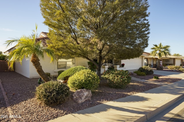 view of property hidden behind natural elements with a garage