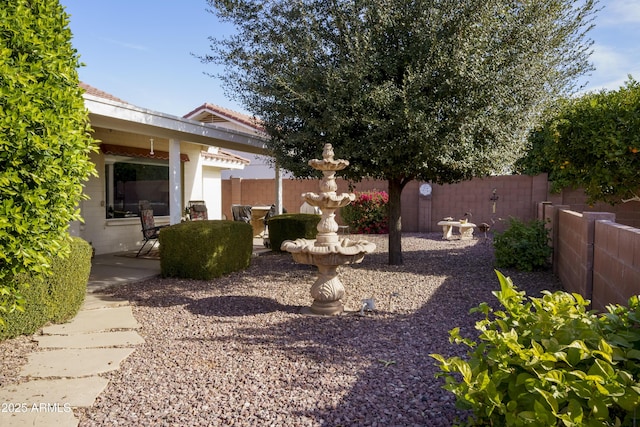 view of yard featuring a patio